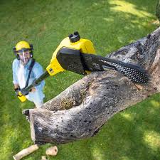 Organic Lawn Care Solutions in Twinsburg, OH